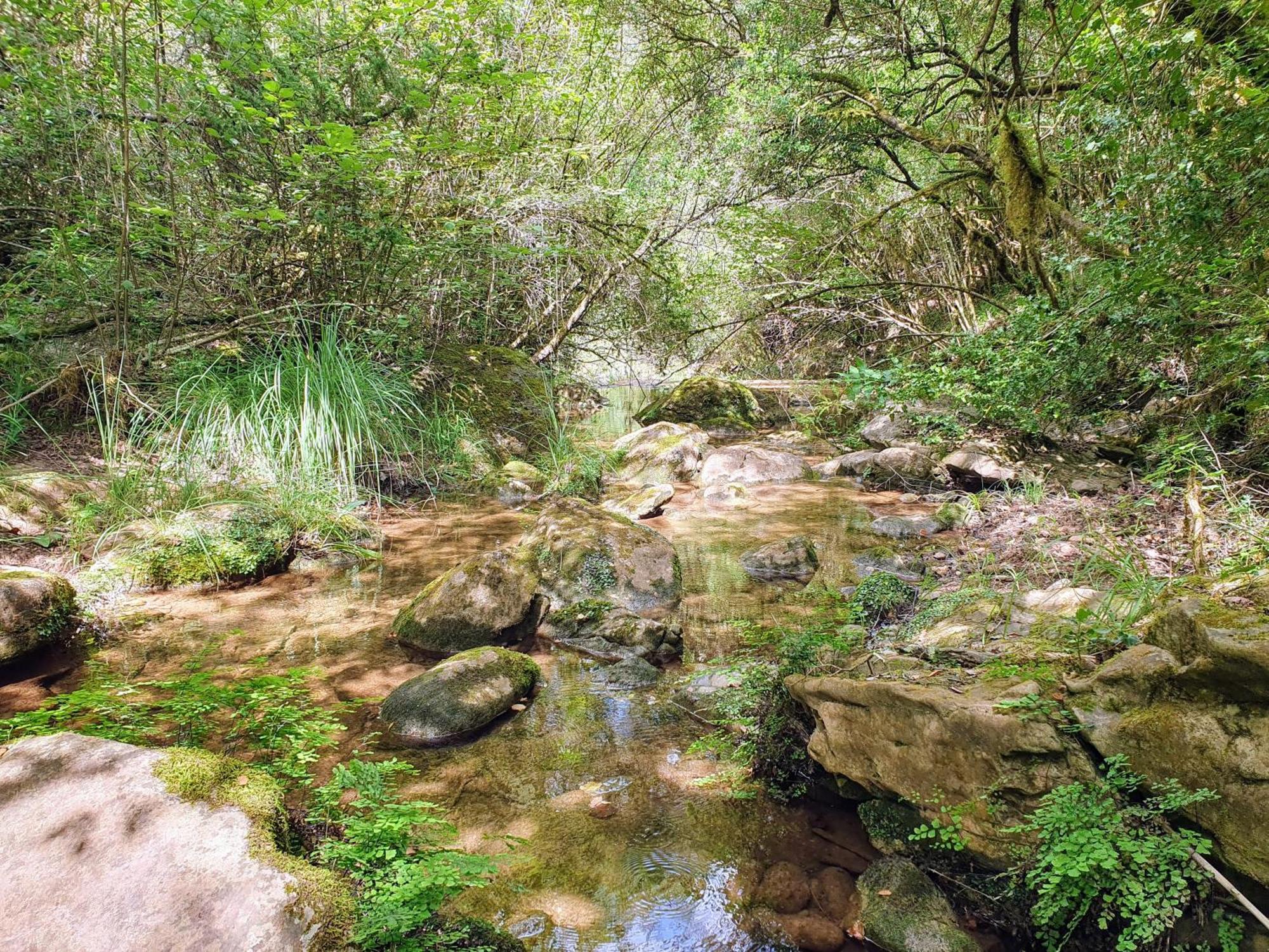 Casa di campagna Mas Morrenya -